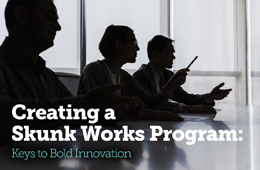 Creating a Skunk Works Program: Keys to Bold Innovation