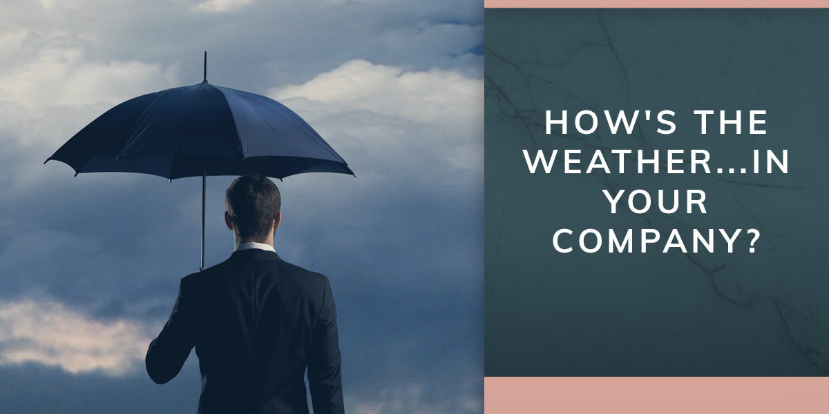 Organizational Climate and Your Team's Weather