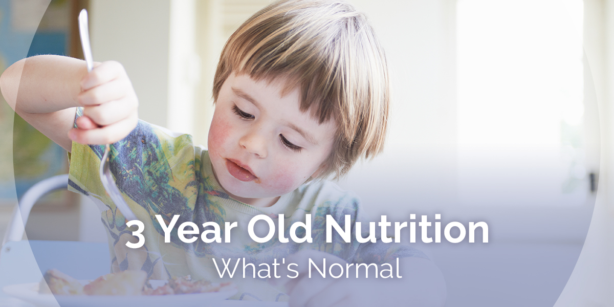 Toddler Nutrition: What to Expect at 3 Year’s Old 