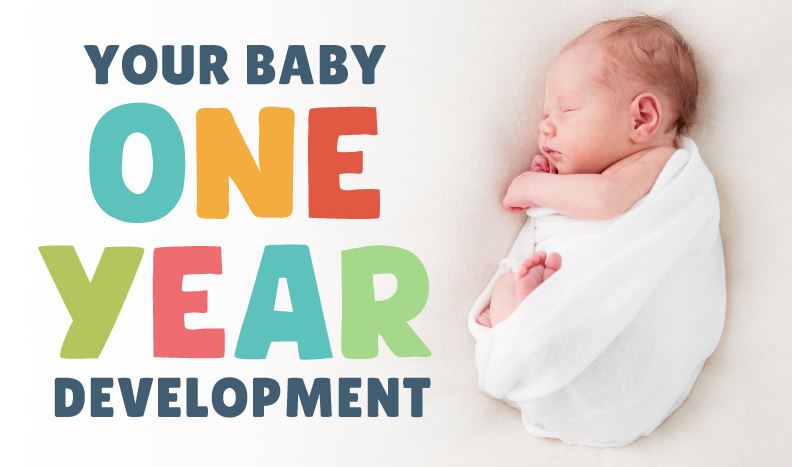 INFOGRAPHIC - Your Baby: Year One Development