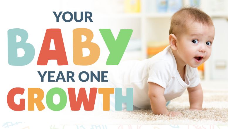 INFOGRAPHIC - Your Baby: Year One Growth