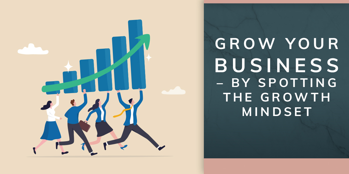 Grow Your Business - By Spotting the Growth Mindset
