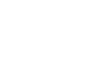 DBDS logo white-05.png